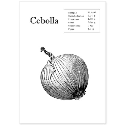 Poster de Cebolla. Láminas de frutas y verduras.-Artwork-Nacnic-A4-Sin marco-Nacnic Estudio SL