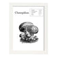 Poster de Champiñon. Láminas de frutas y verduras.-Artwork-Nacnic-A3-Marco Blanco-Nacnic Estudio SL