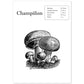 Poster de Champiñon. Láminas de frutas y verduras.-Artwork-Nacnic-A4-Sin marco-Nacnic Estudio SL