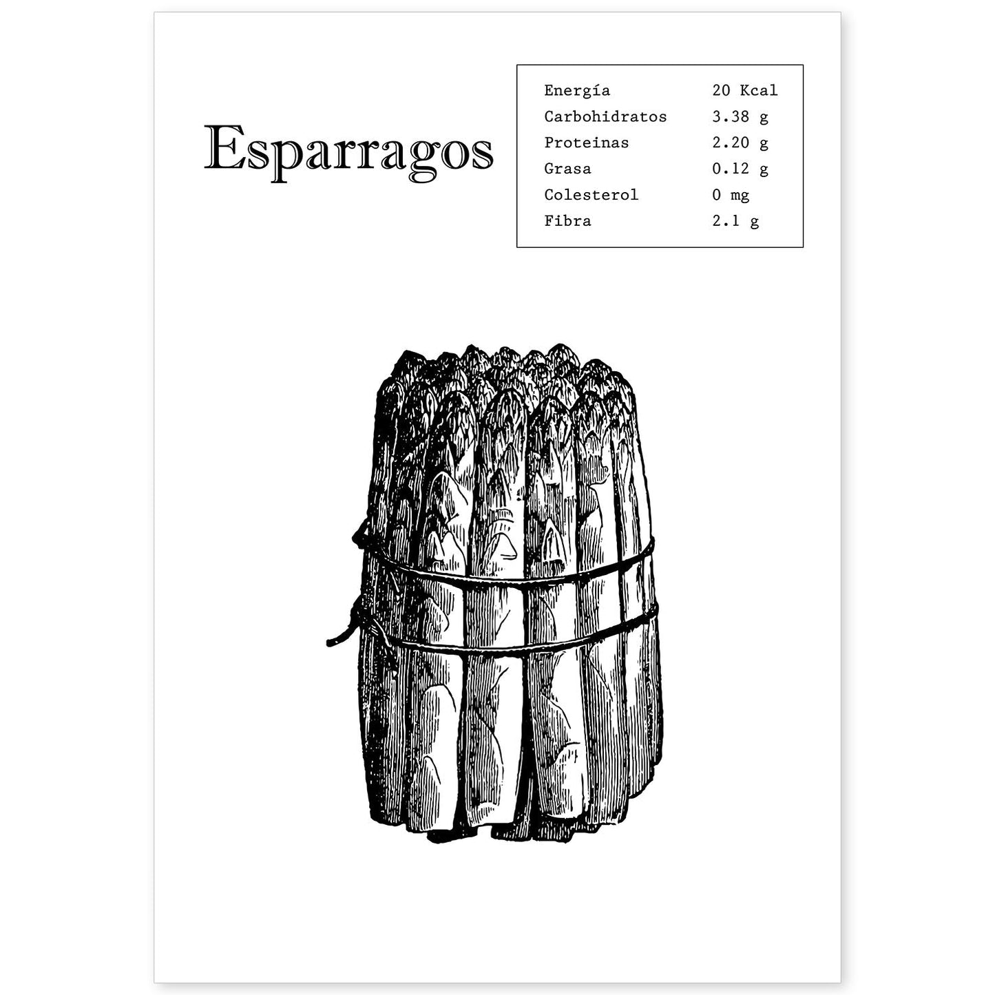 Poster de Esparragos. Láminas de frutas y verduras.-Artwork-Nacnic-A4-Sin marco-Nacnic Estudio SL