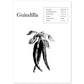 Poster de Guindilla. Láminas de frutas y verduras.-Artwork-Nacnic-A4-Sin marco-Nacnic Estudio SL