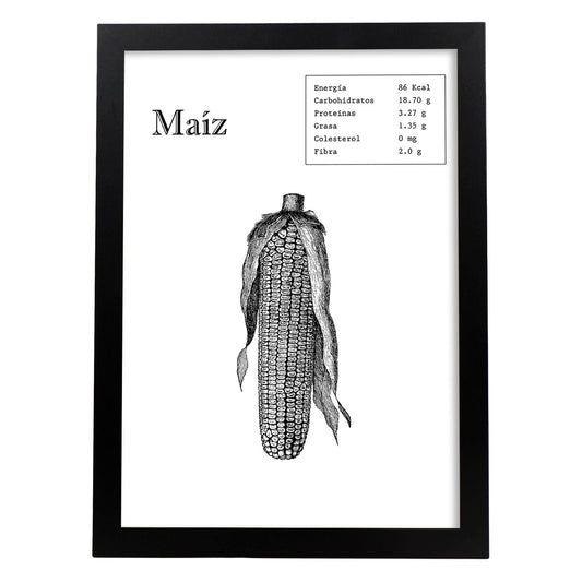 Poster de Maíz. Láminas de frutas y verduras.-Artwork-Nacnic-A4-Marco Negro-Nacnic Estudio SL