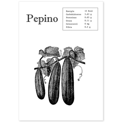 Poster de Pepino. Láminas de frutas y verduras.-Artwork-Nacnic-A4-Sin marco-Nacnic Estudio SL
