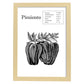 Poster de Pimiento. Láminas de frutas y verduras.-Artwork-Nacnic-A4-Marco Madera clara-Nacnic Estudio SL