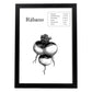 Poster de Rábano. Láminas de frutas y verduras.-Artwork-Nacnic-A4-Marco Negro-Nacnic Estudio SL