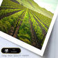 Set de 3 Cuadros de Viñedo Italiano Impresión Ilustración Arte de Pared Decoración en Estilo Fotográfico Moderno para Cocina, Bodega, Bar, Despensa, Comedor, Restaurante