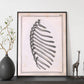 Paillou Ribs-Artwork-Nacnic-Nacnic Estudio SL