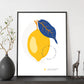 Lemon-Artwork-Nacnic-Nacnic Estudio SL