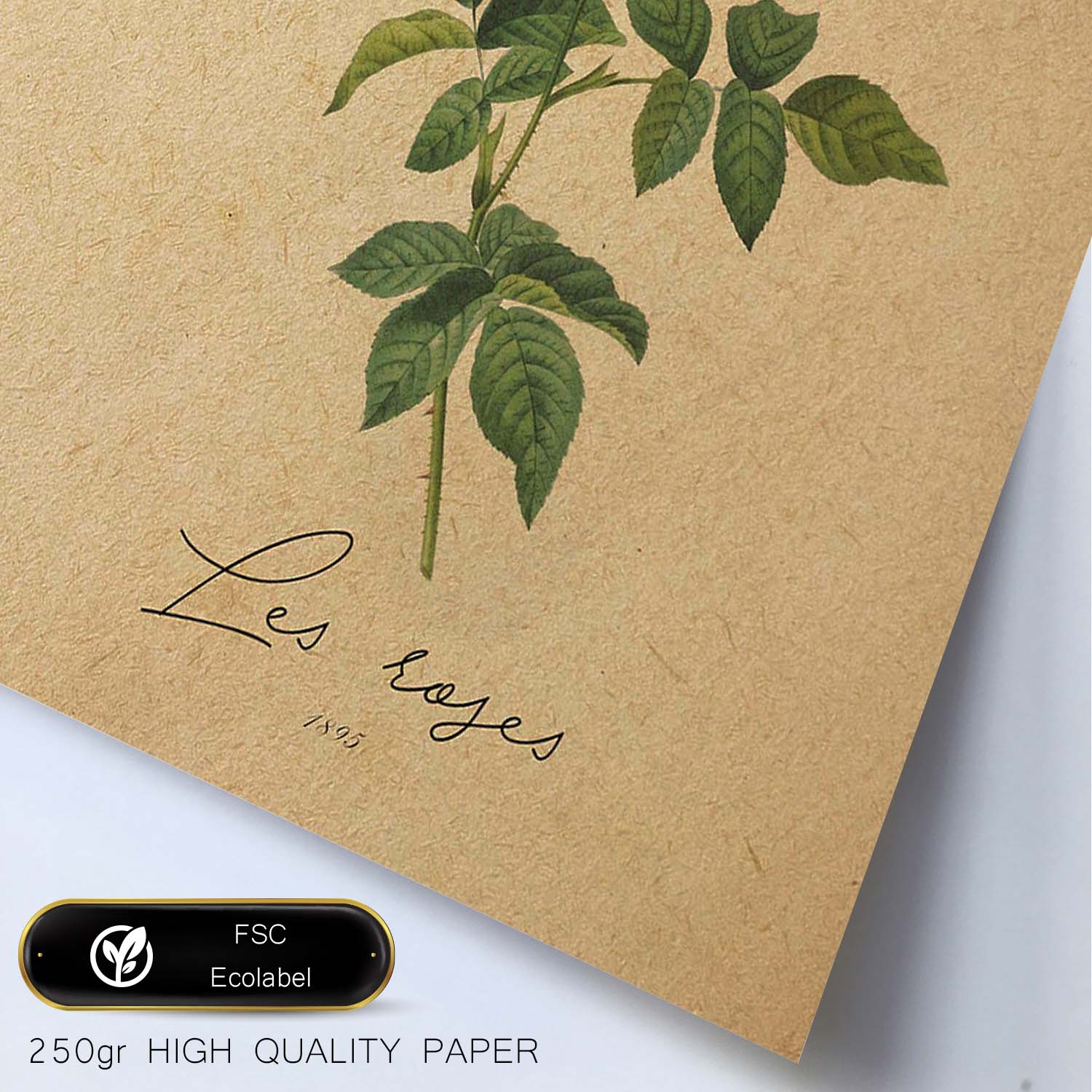 Poster de flores vintage. Lámina Les Roses 2 con diseño vintage.-Artwork-Nacnic-Nacnic Estudio SL