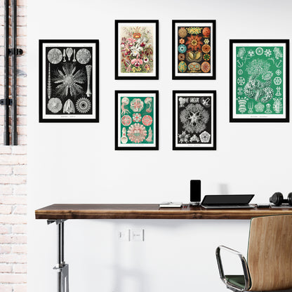 Botanical Floral