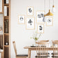 Composicion setas , tipos y detalles