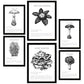 Composicion familias de setas blanco y negro