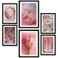Composicion rosa