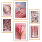 Composicion rosa