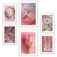 Composicion rosa