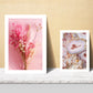 Composicion rosa
