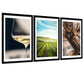 Set de 3 Cuadros de Viñedo Italiano Impresión Ilustración Arte de Pared Decoración en Estilo Fotográfico Moderno para Cocina, Bodega, Bar, Despensa, Comedor, Restaurante