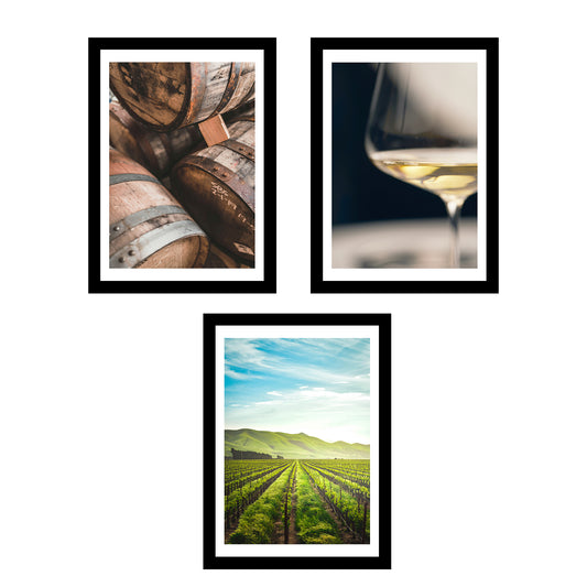 Set de 3 Cuadros de Viñedo Italiano Impresión Ilustración Arte de Pared Decoración en Estilo Fotográfico Moderno para Cocina, Bodega, Bar, Despensa, Comedor, Restaurante