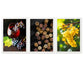 Set de 3 Cuadros de Uvas de Viñedo y Corcho Ilustración impresa en estilo Fotográfico para decorar Cocina, Despensa, Cortijo, Comedor, Restaurante