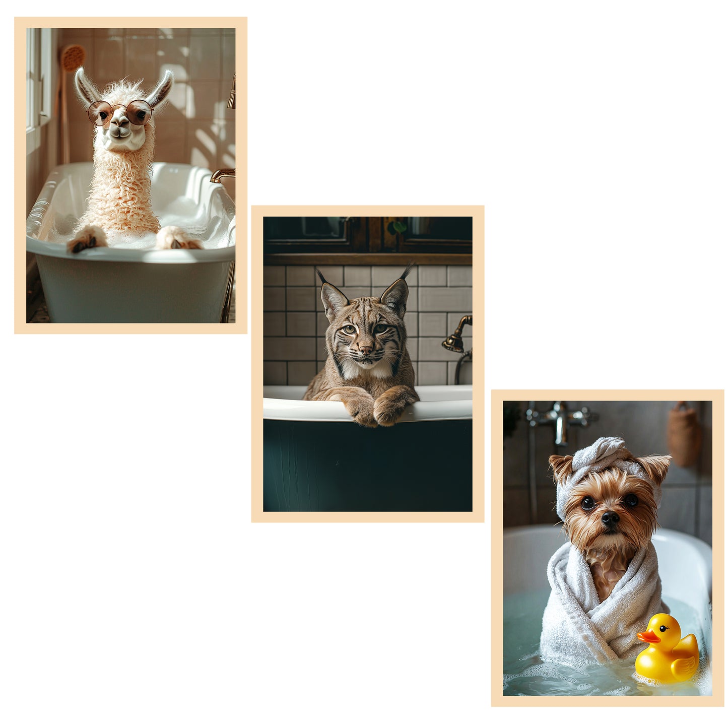Set de 3 Cuadros de Animales Salvajes en la Bañera, Llama, Perro, Gato Lince Ilustración impresa en estilo fotográfico para decorar las paredes del WC, Ducha, Cuarto de baño, WC