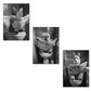 Set de 3 Cuadros Animales Leyendo Periódico En El Inodoro, Gato, Perro, Llama, Póster en Blanco y Negro con Ilustración Impresa en Estilo B/N para Decorar las Paredes del Inodoro, Baño, Lavabo, WC