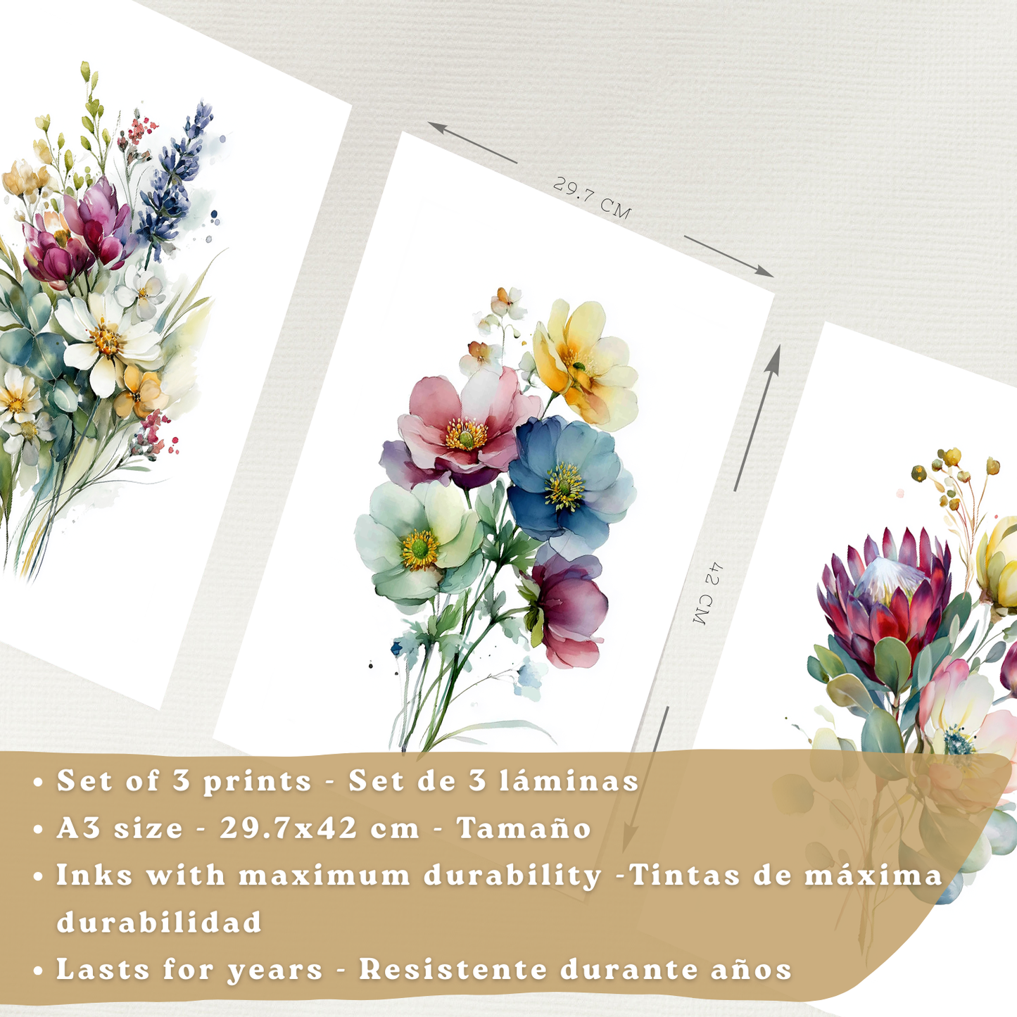 Nacnic Set De 3 Cuadros De Arte Botanico. Laminas Decorativas Pared Floral. Poster Modernas. Cuadros Flores. Laminas Decorativas Pared Para Salón Y Dormitorio