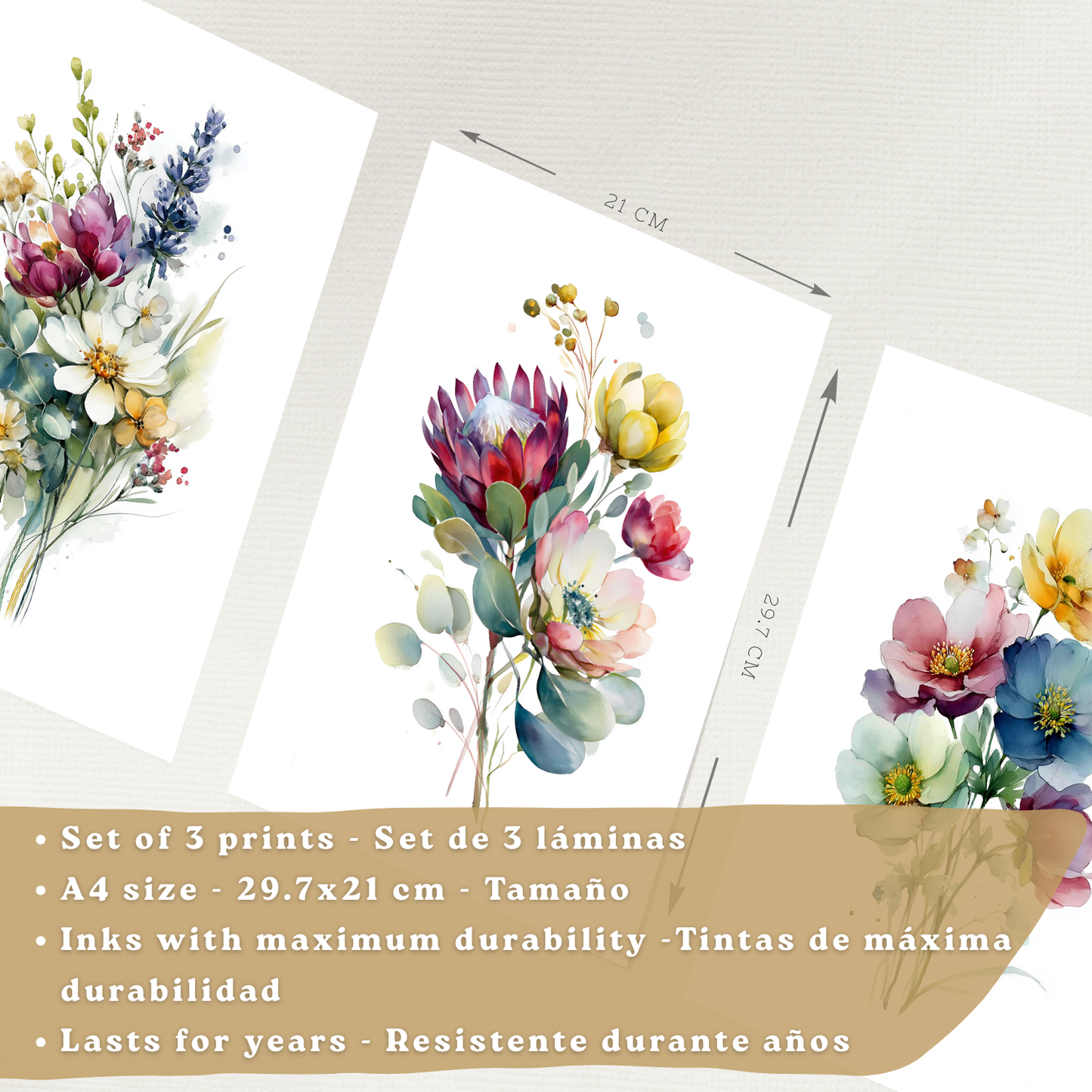 Nacnic Set De 3 Cuadros De Arte Botanico. Laminas Decorativas Pared Floral. Poster Modernas. Cuadros Flores. Laminas Decorativas Pared Para Salón Y Dormitorio