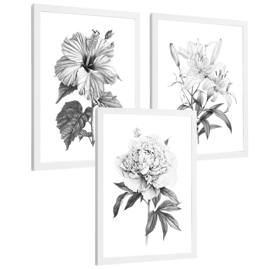 Nacnic Juego De 3 Cuadros De Flores Dibujo Laminas Decorativas Pared Flores A Lapiz Poster De Pared Botanico Minimalista Flores Blanco Y Negro Para Salón Y Dormitorio