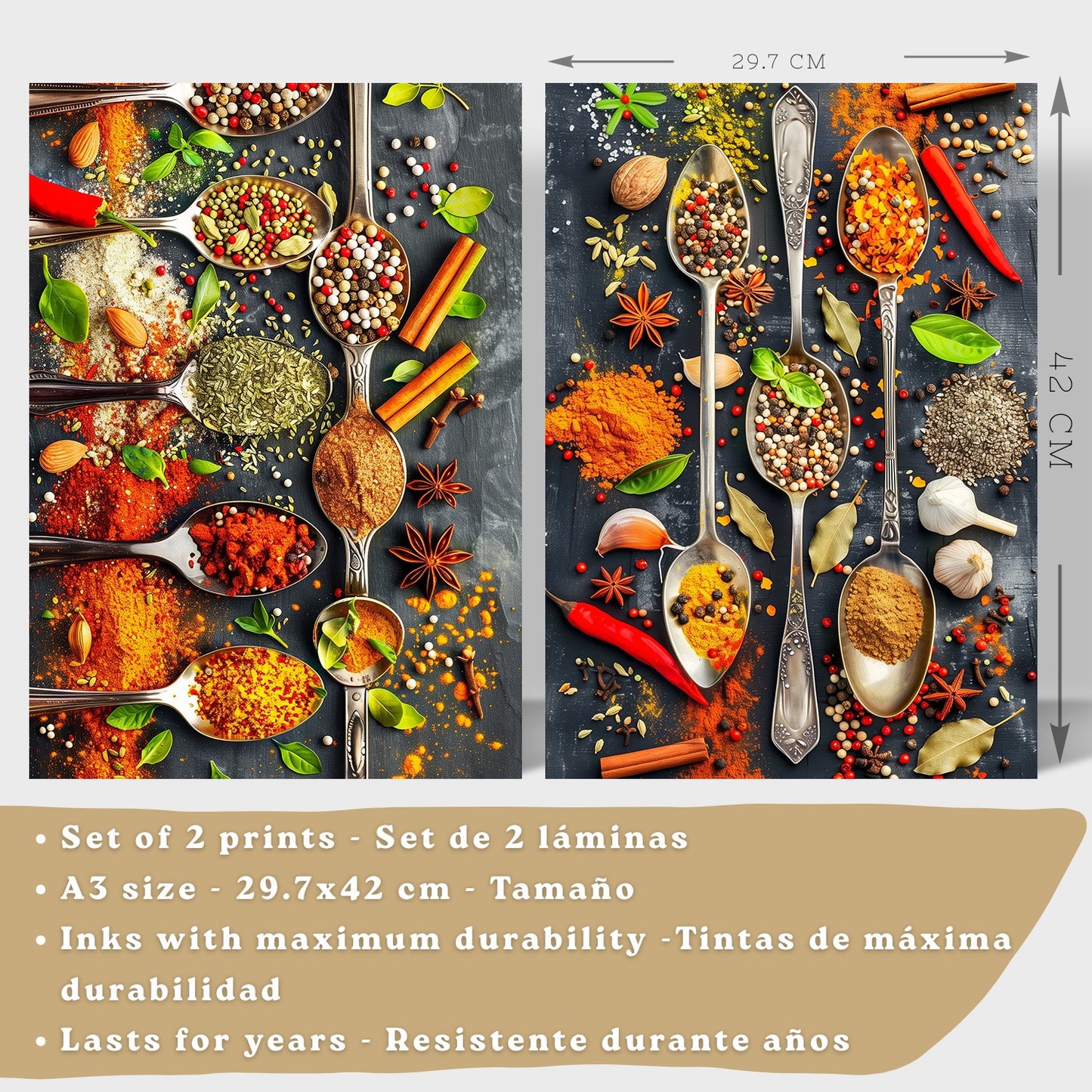 Set de 2 Láminas Cocina Gastronómica Cuadros Pared Hierbas y Especias en Cucharas Póster Decoración Comedor