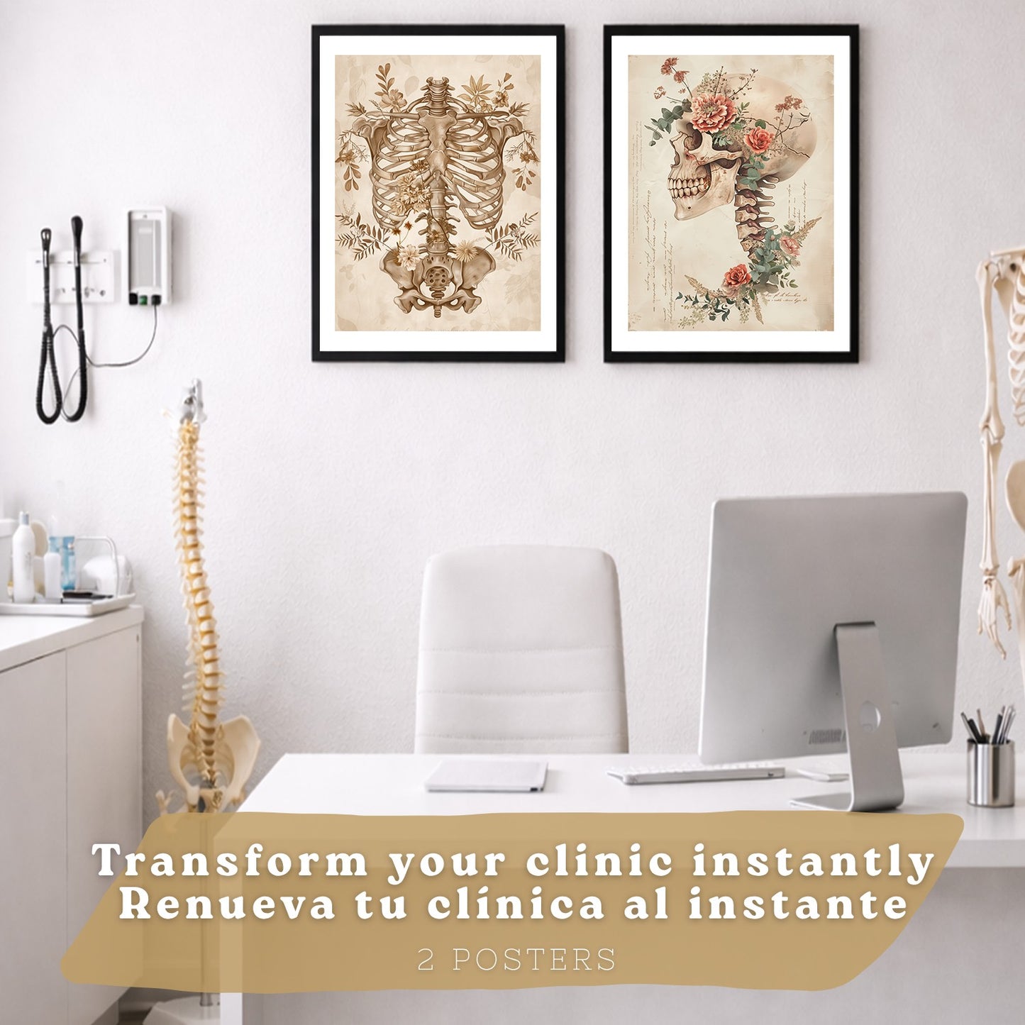 Set 2 Cuadros Decorativos de Anatomía Humana Láminas y Posters con Esqueleto Cráneo Columna Vertebral Costillas Pelvis Estilo Clásico
