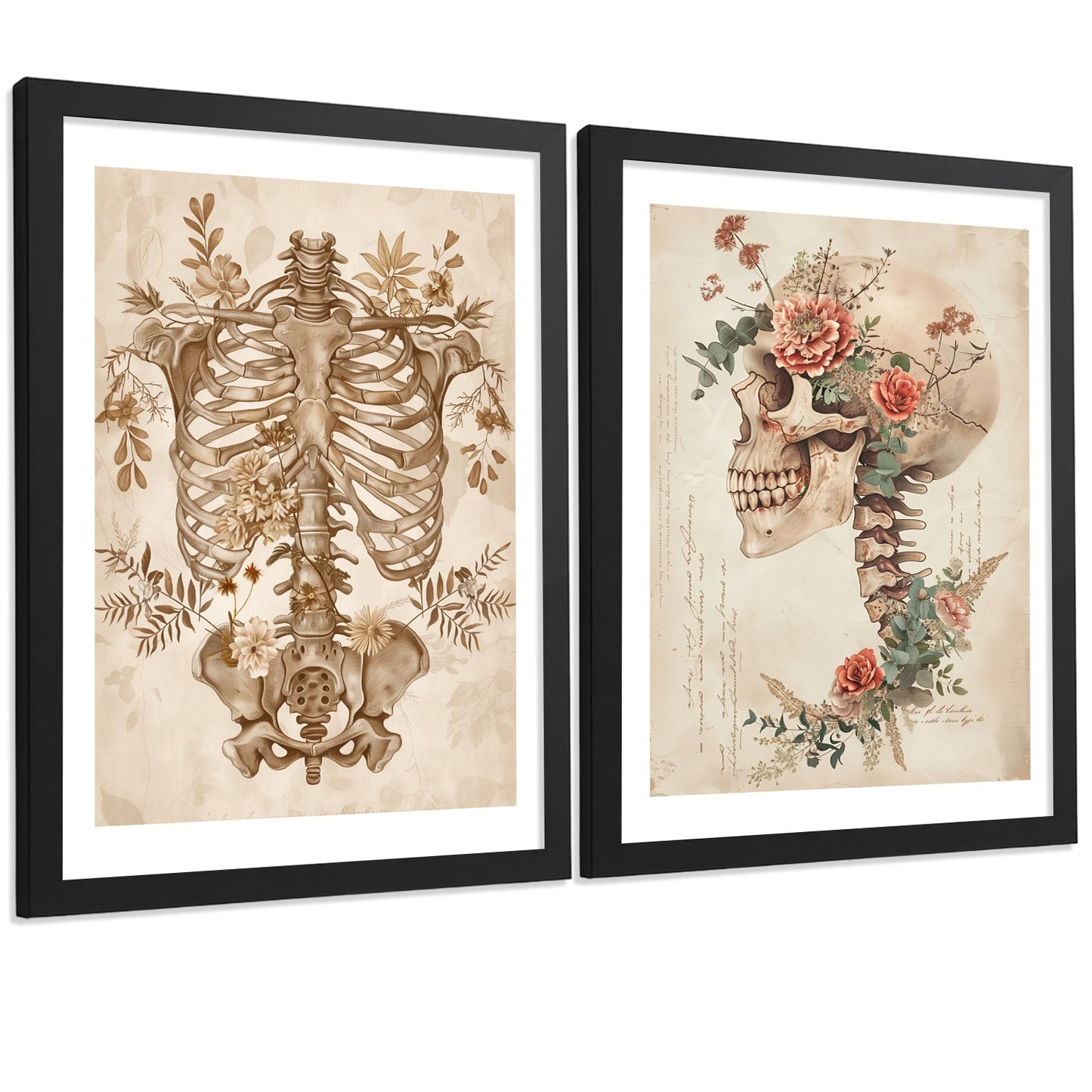 Set 2 Cuadros Decorativos de Anatomía Humana Láminas y Posters con Esqueleto Cráneo Columna Vertebral Costillas Pelvis Estilo Clásico
