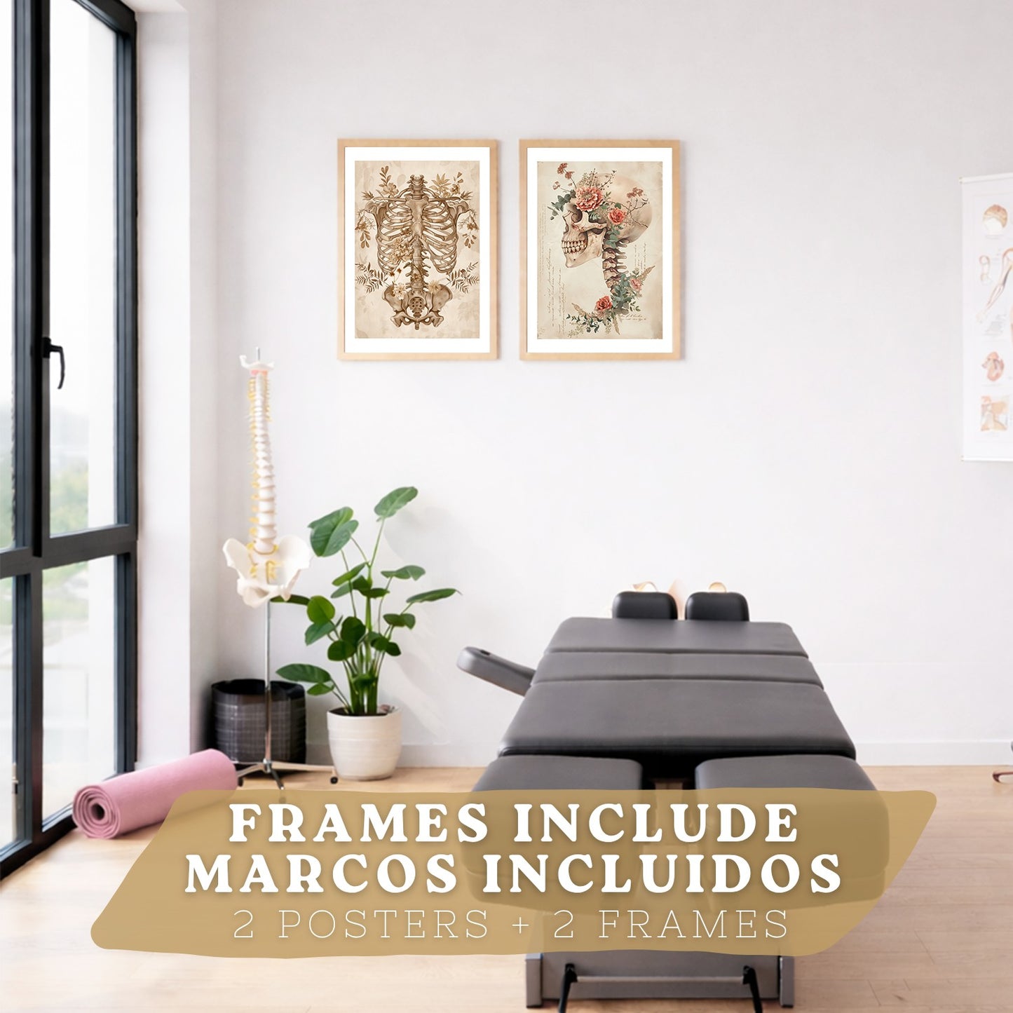 Set 2 Cuadros Decorativos de Anatomía Humana Láminas y Posters con Esqueleto Cráneo Columna Vertebral Costillas Pelvis Estilo Clásico