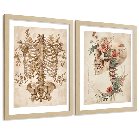 Set 2 Cuadros Decorativos de Anatomía Humana Láminas y Posters con Esqueleto Cráneo Columna Vertebral Costillas Pelvis Estilo Clásico
