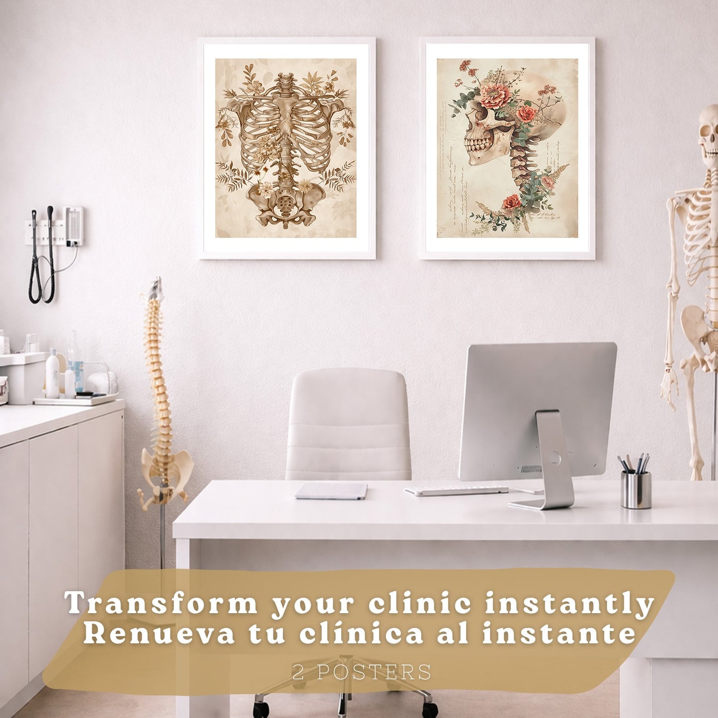 Set 2 Cuadros Decorativos de Anatomía Humana Láminas y Posters con Esqueleto Cráneo Columna Vertebral Costillas Pelvis Estilo Clásico