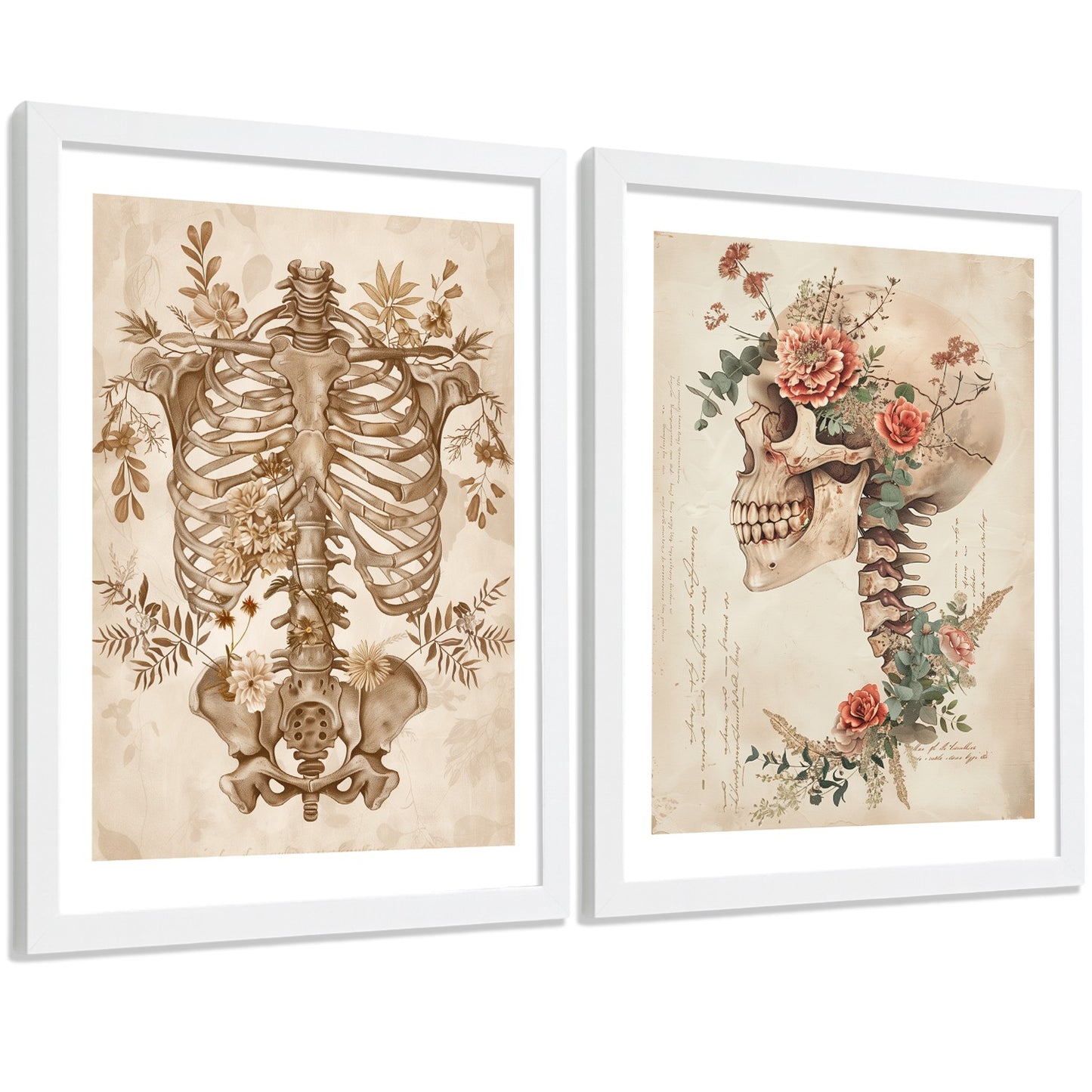 Set 2 Cuadros Decorativos de Anatomía Humana Láminas y Posters con Esqueleto Cráneo Columna Vertebral Costillas Pelvis Estilo Clásico