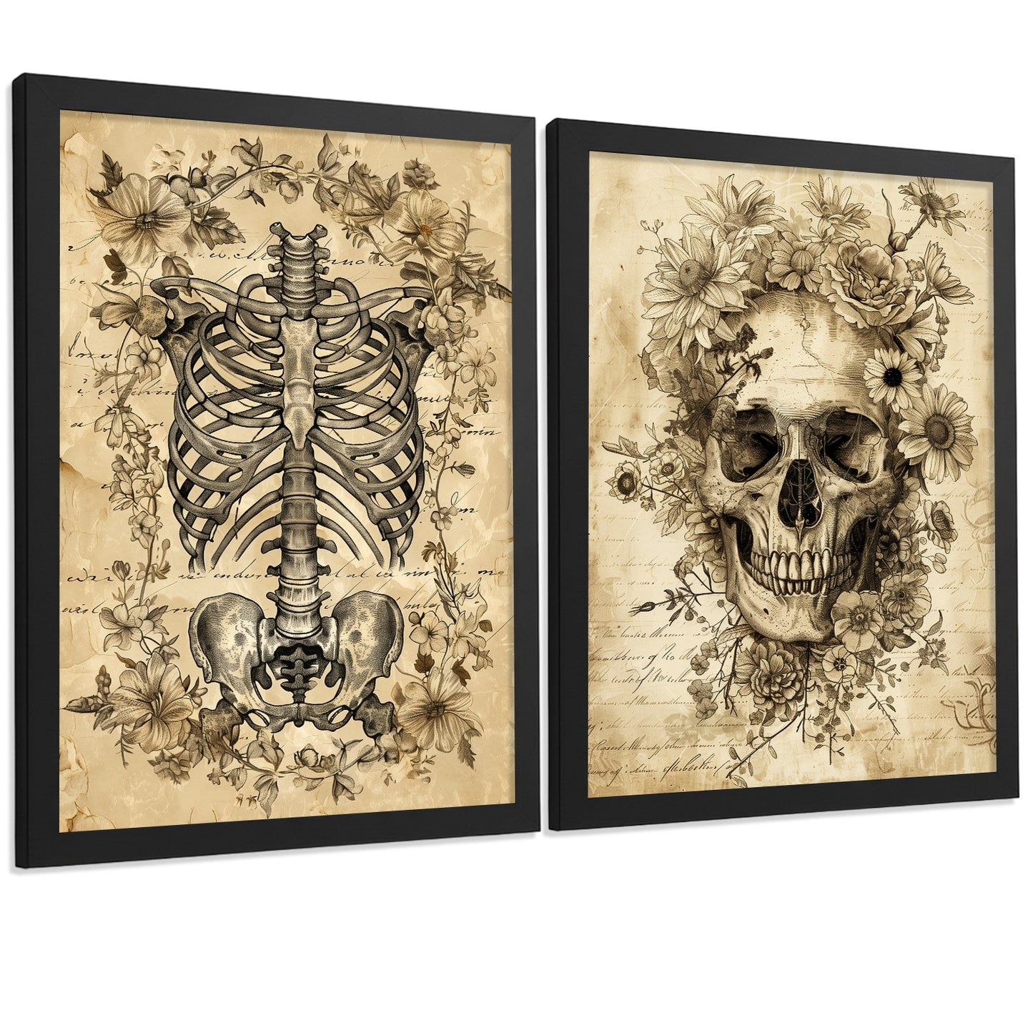 Set 2 Posters y Cuadros de Anatomía Humana Láminas con Cráneo Columna Vertebral Costillas Pelvis Diseño Vintage Clásico