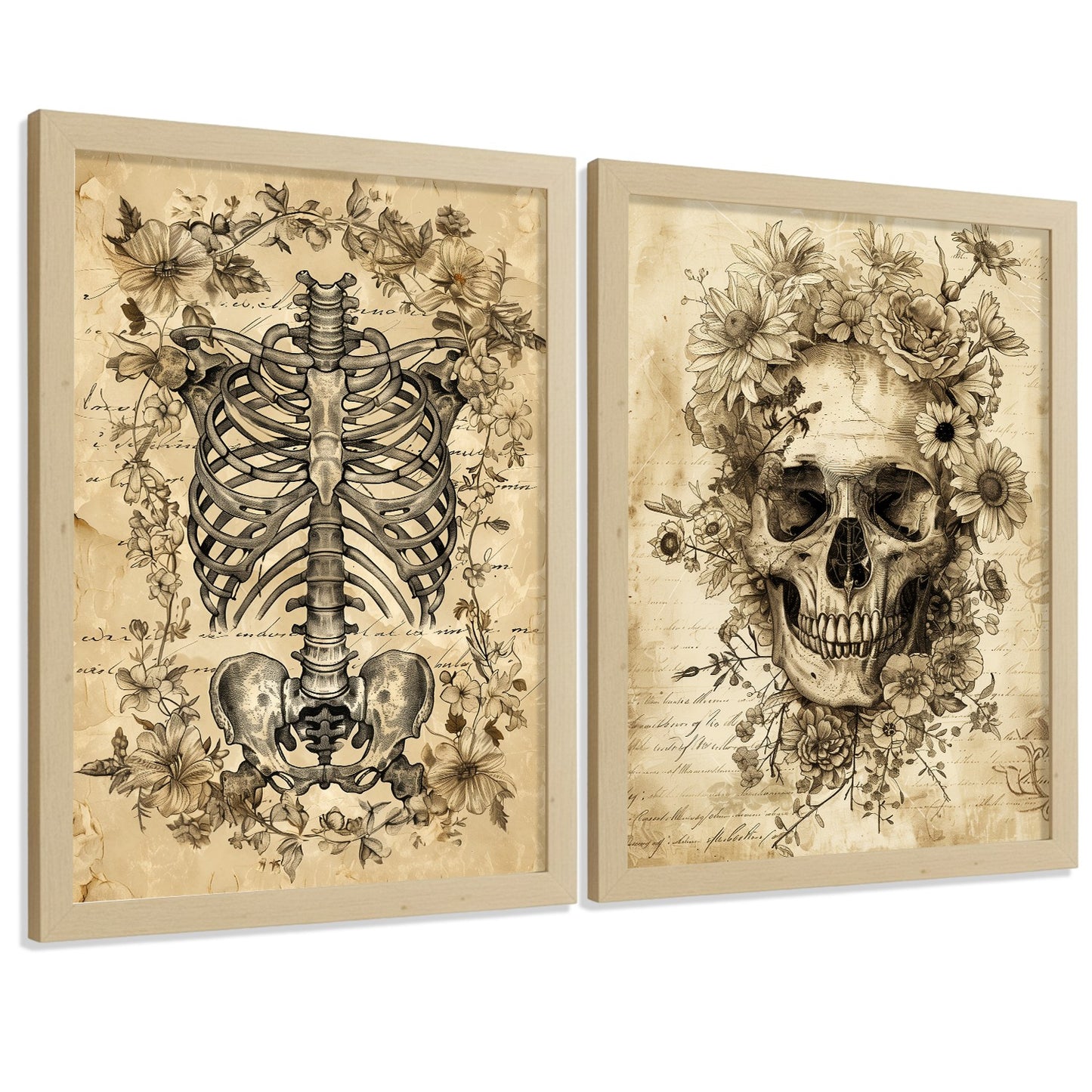 Set 2 Posters y Cuadros de Anatomía Humana Láminas con Cráneo Columna Vertebral Costillas Pelvis Diseño Vintage Clásico