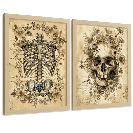 Set 2 Posters y Cuadros de Anatomía Humana Láminas con Cráneo Columna Vertebral Costillas Pelvis Diseño Vintage Clásico