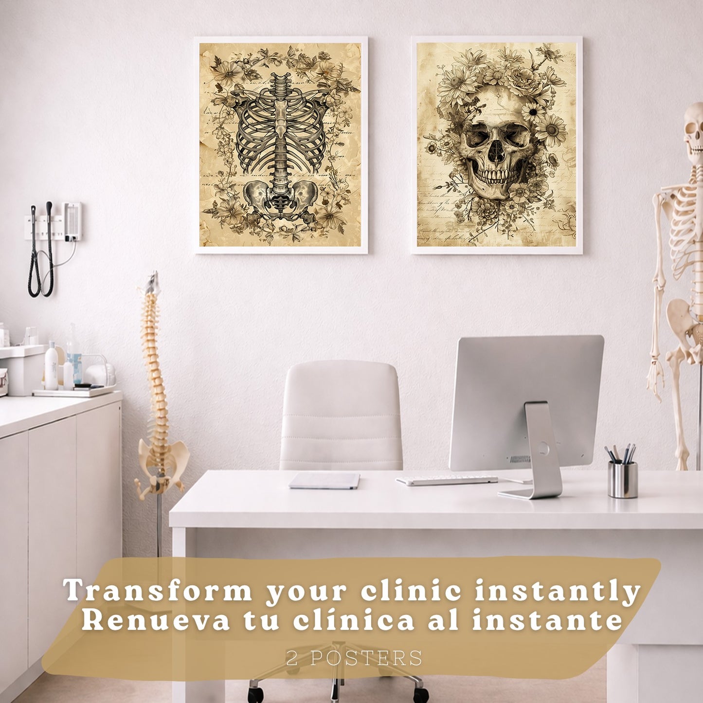 Set 2 Posters y Cuadros de Anatomía Humana Láminas con Cráneo Columna Vertebral Costillas Pelvis Diseño Vintage Clásico