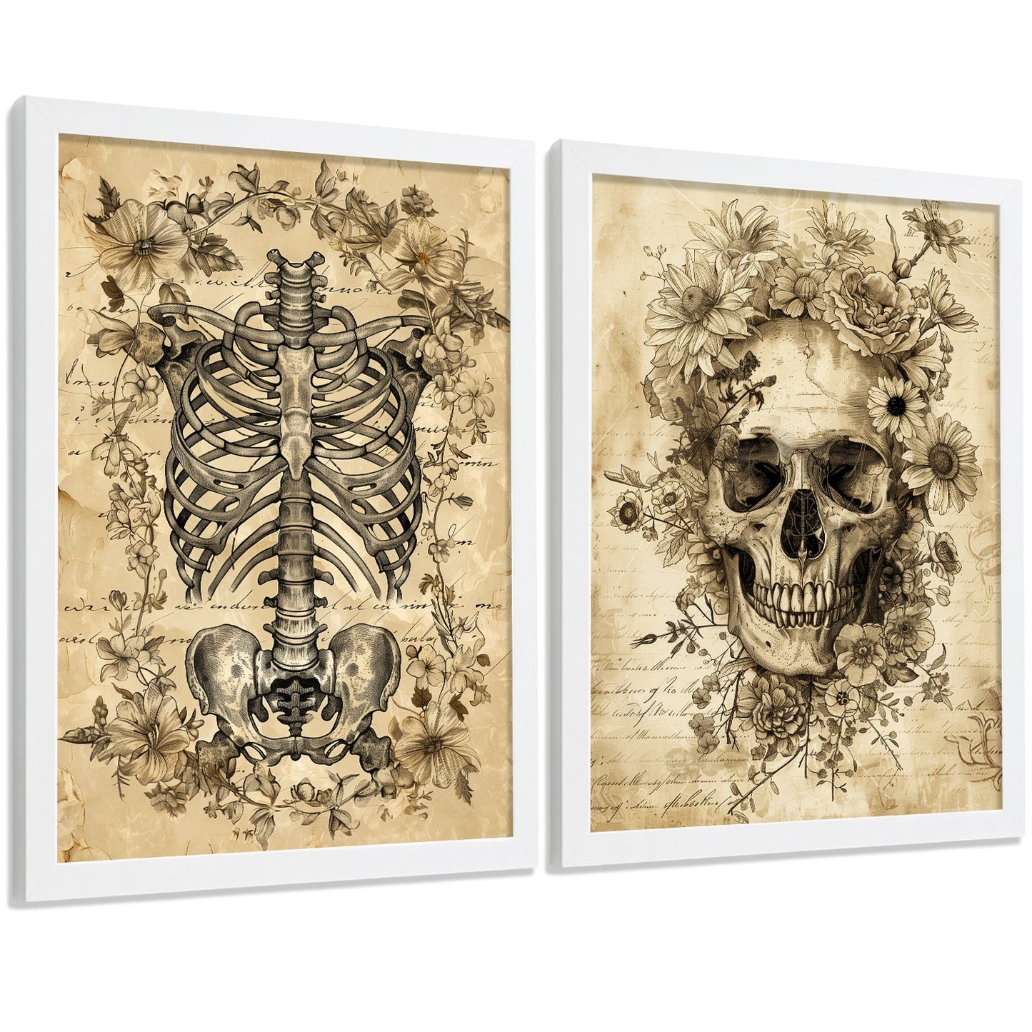 Set 2 Posters y Cuadros de Anatomía Humana Láminas con Cráneo Columna Vertebral Costillas Pelvis Diseño Vintage Clásico