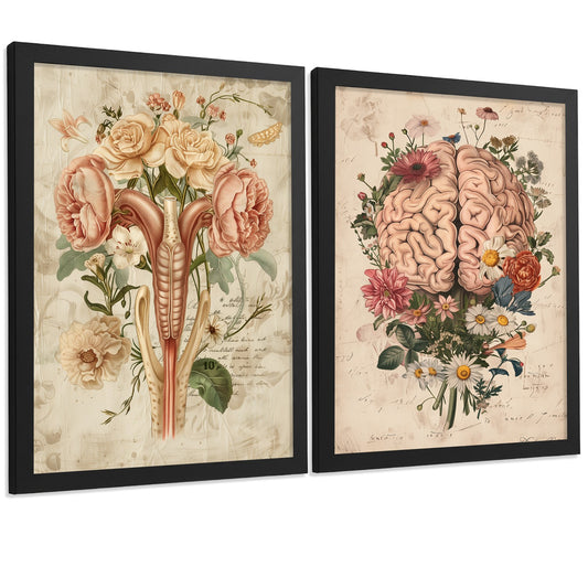 Set 2 Posters Decorativos Anatomía Femenina Láminas con Cerebro y Útero Diseño Botánico Retro vintage floral