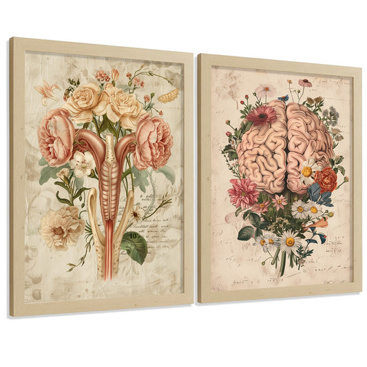 Set 2 Posters Decorativos Anatomía Femenina Láminas con Cerebro y Útero Diseño Botánico Retro vintage floral