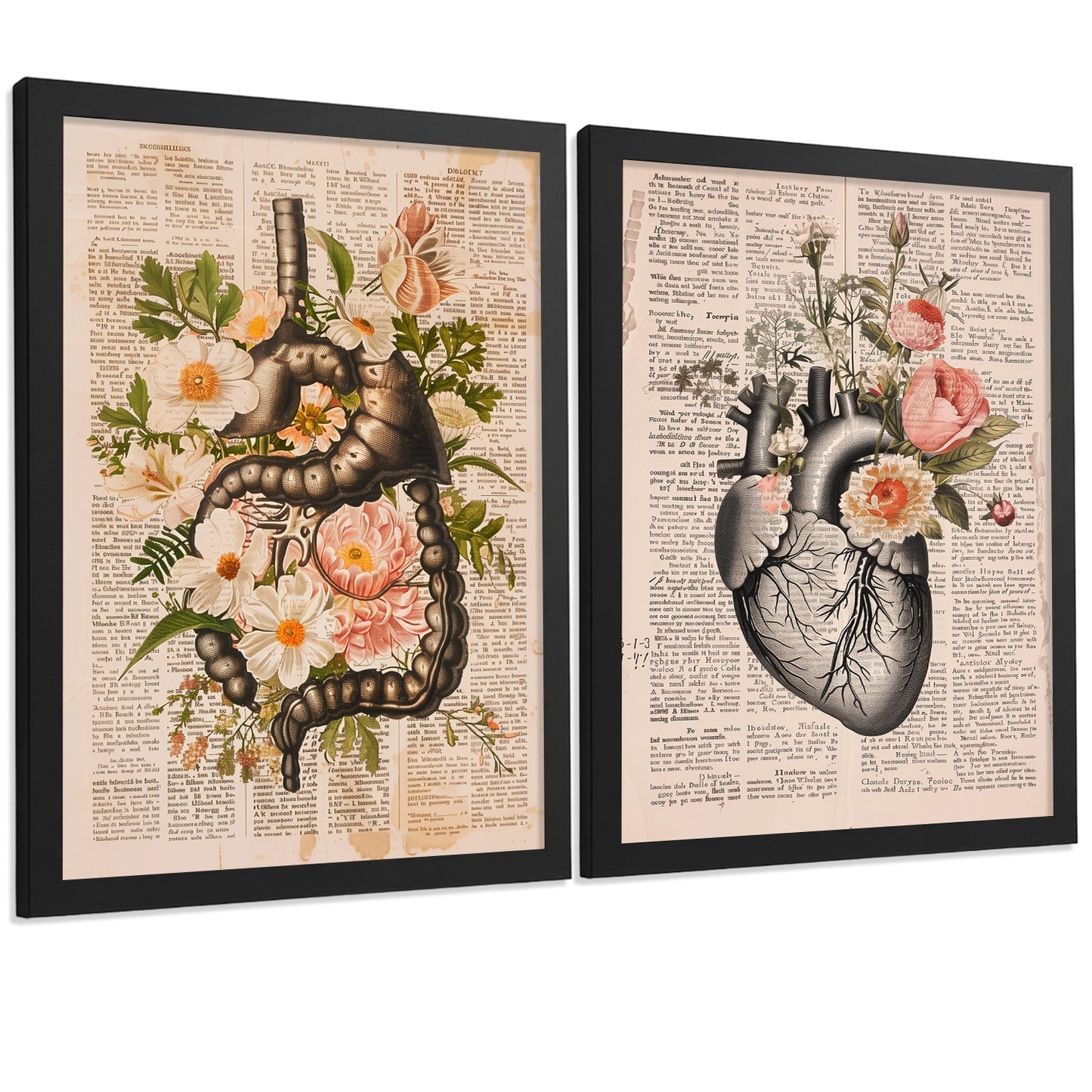 Set 2 Cuadros Decorativos Anatomía Humana Láminas con Sistema Digestivo Intestinos y Corazón Diseño Clásico Floral
