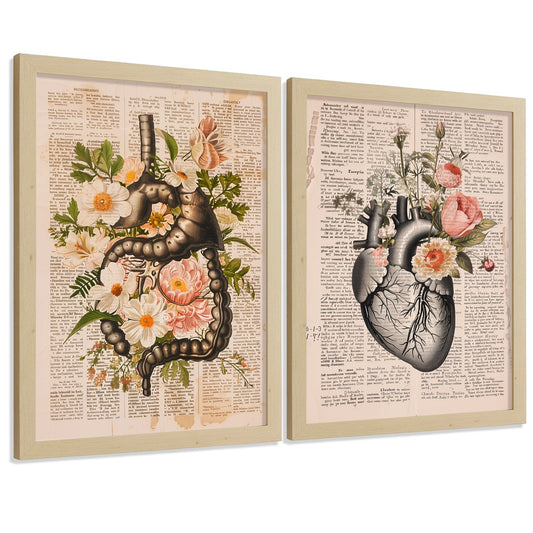 Set 2 Cuadros Decorativos Anatomía Humana Láminas con Sistema Digestivo Intestinos y Corazón Diseño Clásico Floral