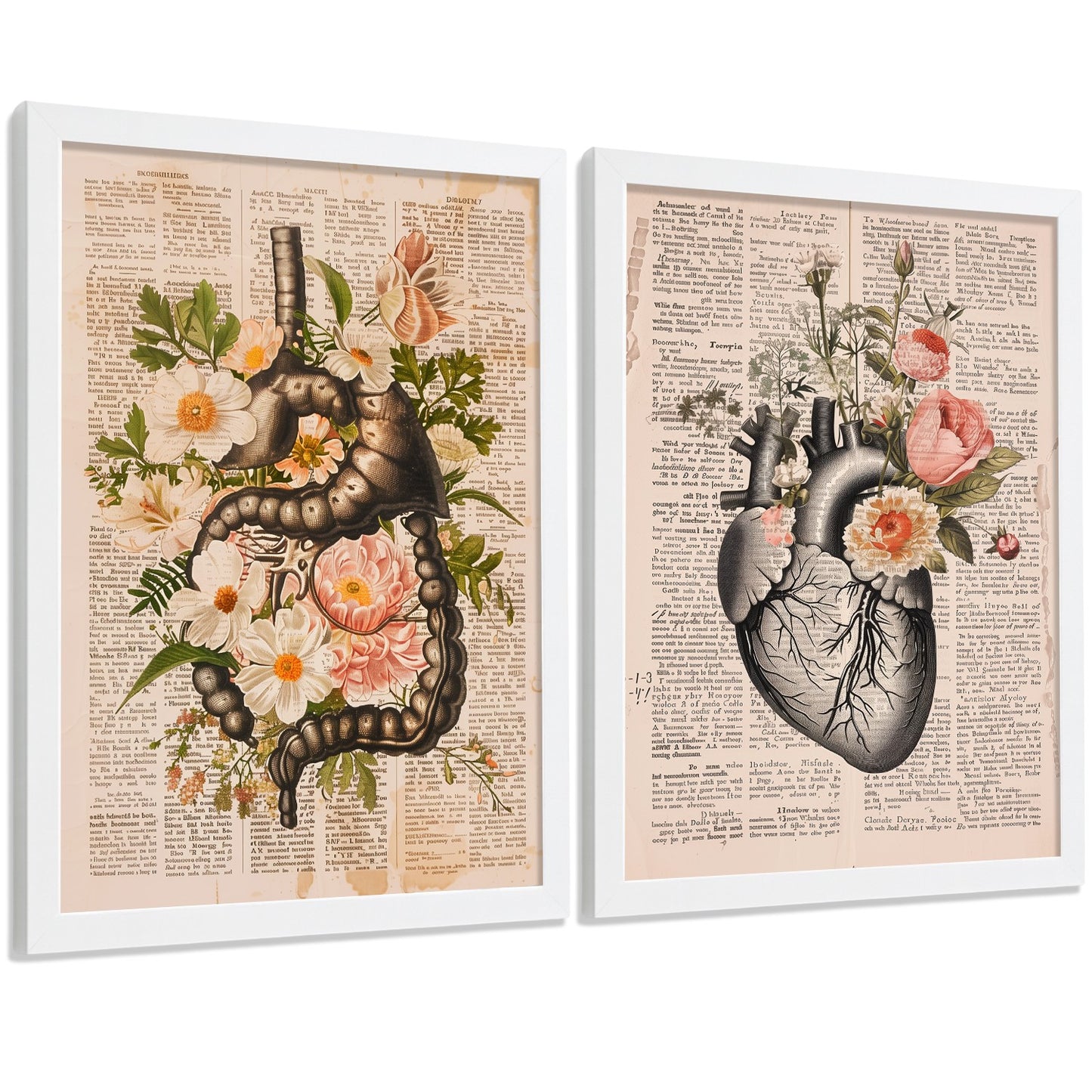 Set 2 Cuadros Decorativos Anatomía Humana Láminas con Sistema Digestivo Intestinos y Corazón Diseño Clásico Floral