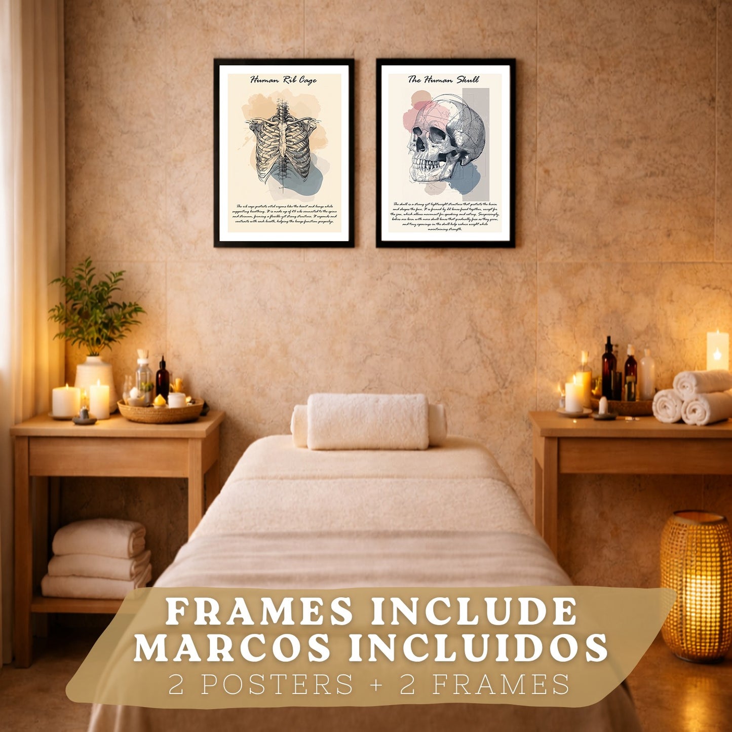 Set 2 Posters de Anatomía Humana Láminas Educativas de Esqueleto Costillas y Cráneo Decoración Clínica Oficina