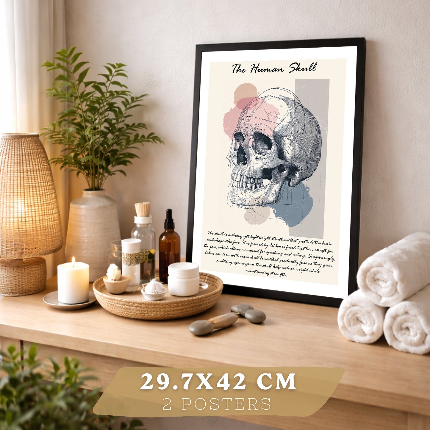 Set 2 Posters de Anatomía Humana Láminas Educativas de Esqueleto Costillas y Cráneo Decoración Clínica Oficina