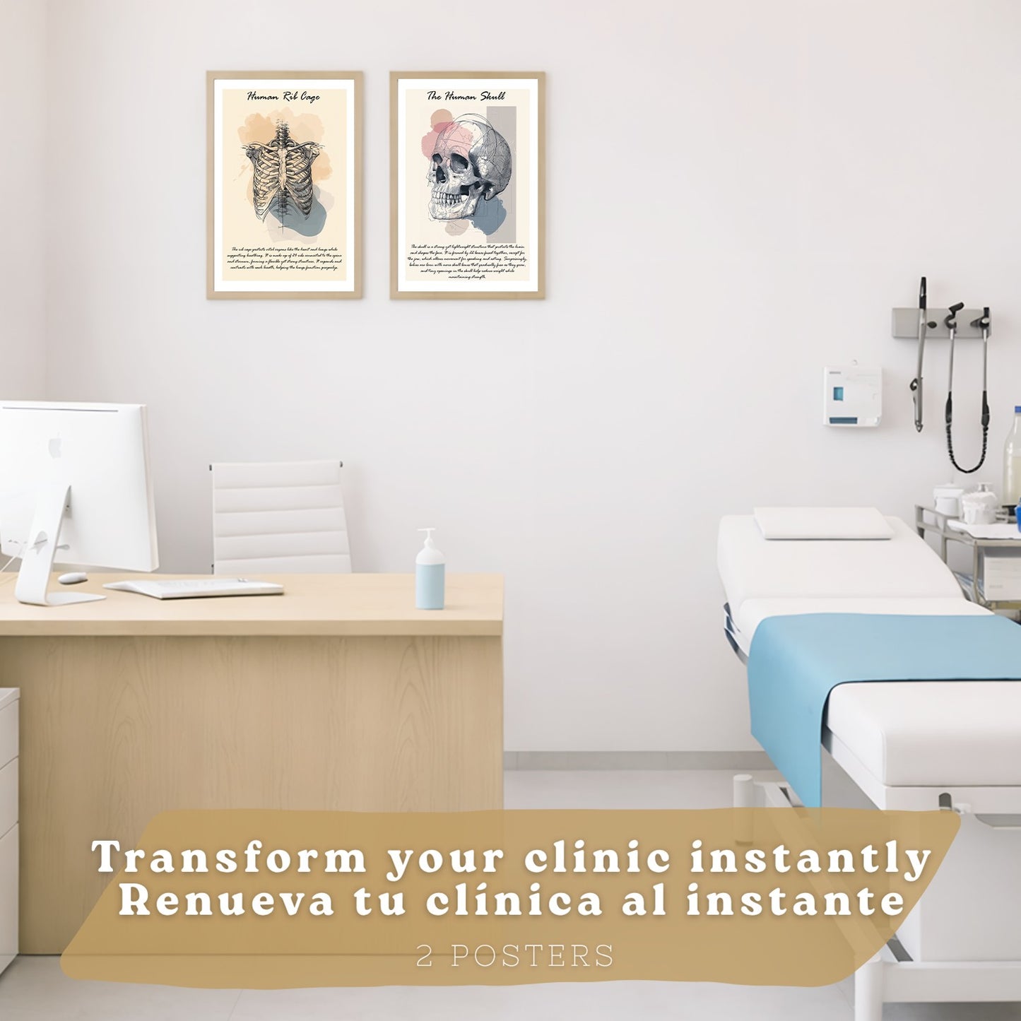 Set 2 Posters de Anatomía Humana Láminas Educativas de Esqueleto Costillas y Cráneo Decoración Clínica Oficina