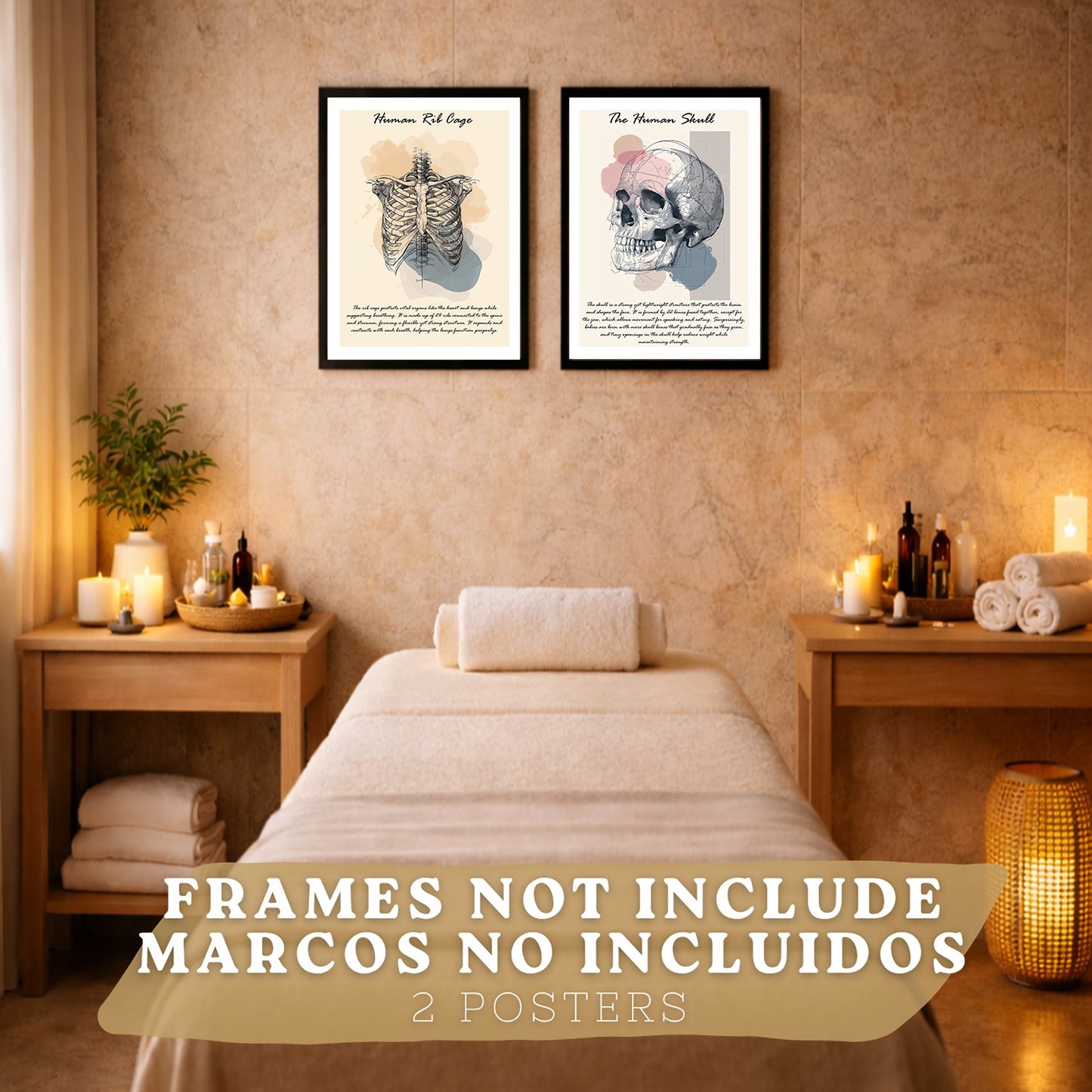 Set 2 Posters de Anatomía Humana Láminas Educativas de Esqueleto Costillas y Cráneo Decoración Clínica Oficina
