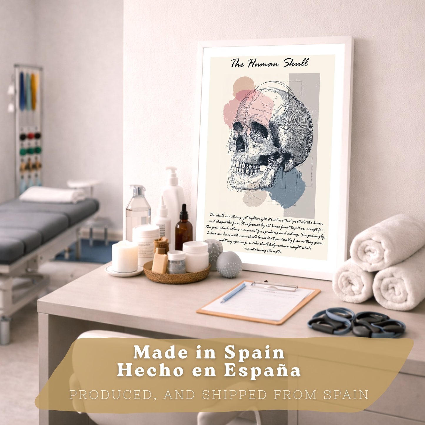Set 2 Posters de Anatomía Humana Láminas Educativas de Esqueleto Costillas y Cráneo Decoración Clínica Oficina